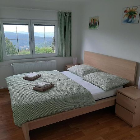 Naproti Klinovci Villa Jáchymov Buitenkant foto