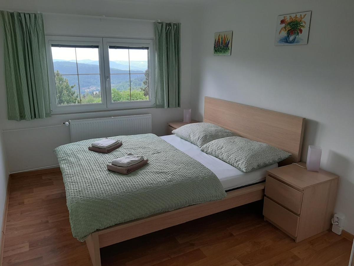 Naproti Klinovci Villa Jáchymov Buitenkant foto