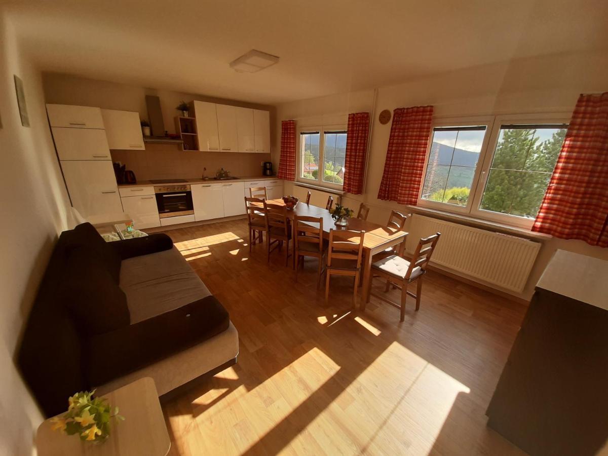 Naproti Klinovci Villa Jáchymov Buitenkant foto